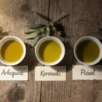 Picual vs Hojiblanca vs Arbequina: ¿Qué Variedad de Olivo Elegir para Tu Finca?