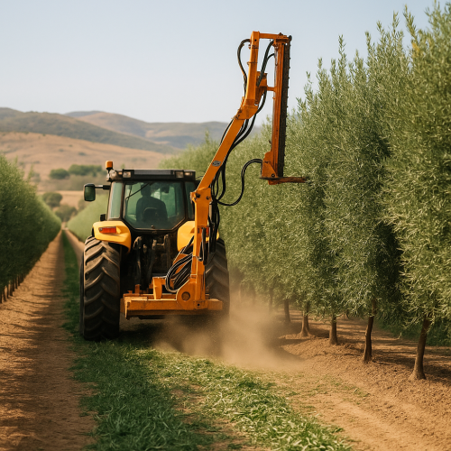 Guía Completa de Plantaciones Superintensivas de Olivos y Calidad de Aceite | Roviplanta